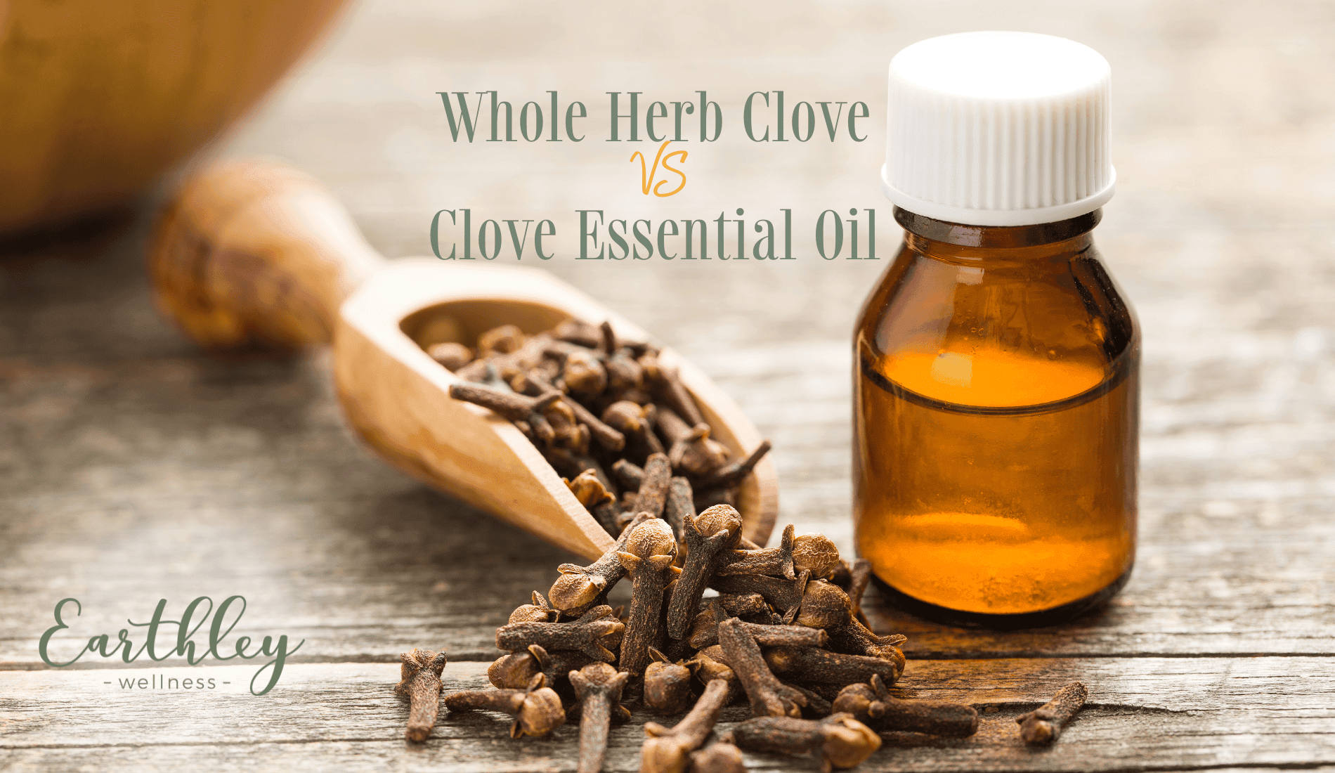 Clove Herb vs Essential Oil comparison blog header showing dried brown whole cloves next to amber essential oil bottle with educational content about usage differences