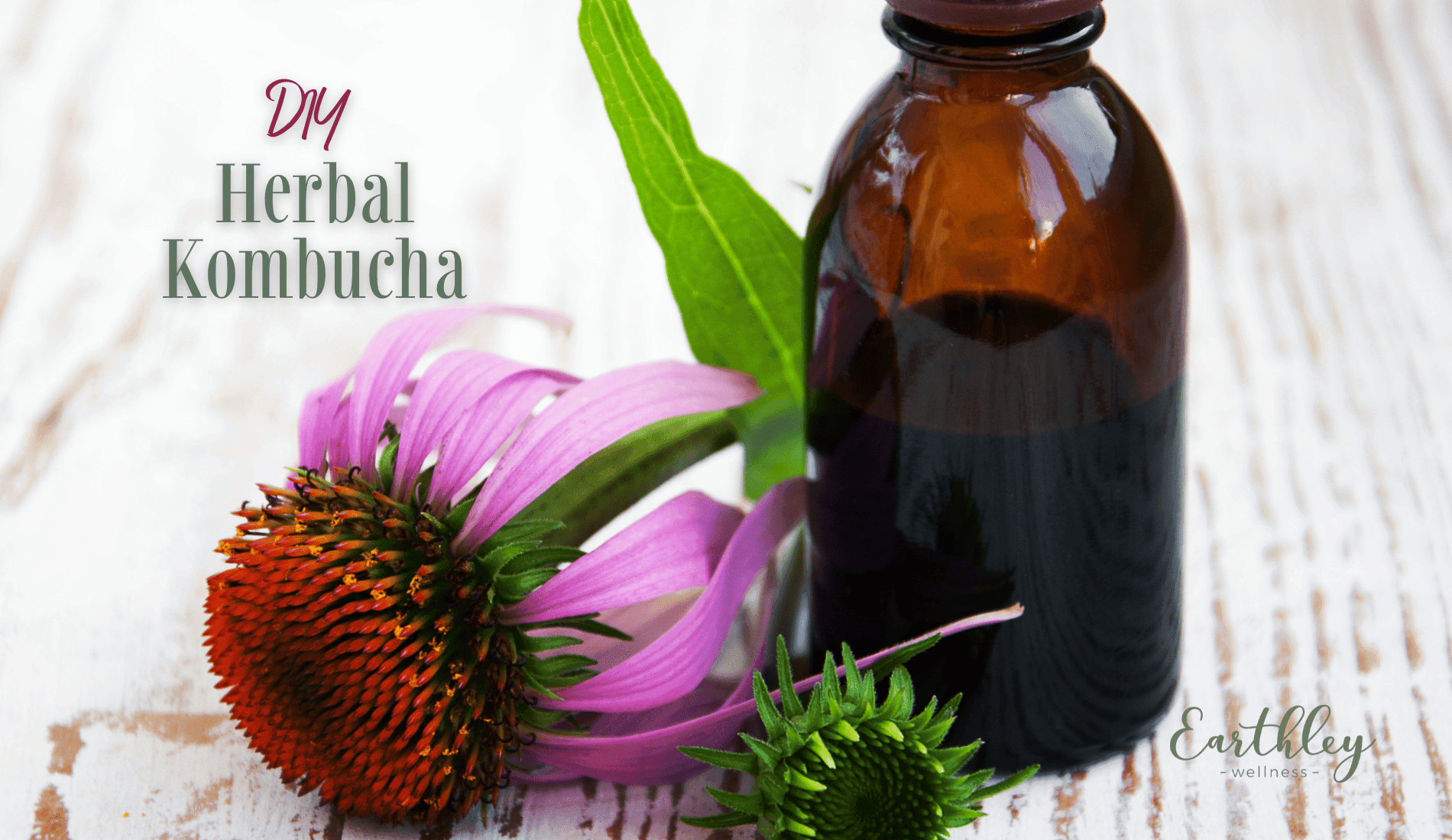 DIY Herbal Kombucha recipe featuring pink and purple echinacea flower with green stem and brown amber tincture bottle on white wooden background