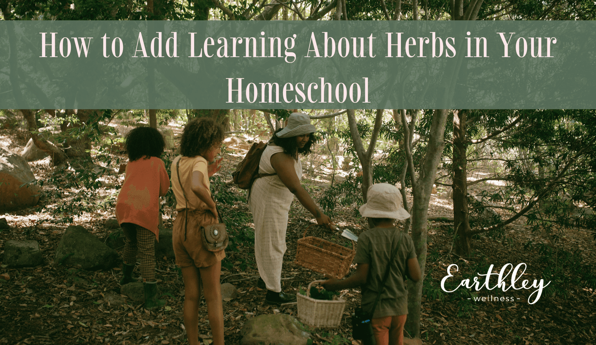 How to Add Herbs to Your Homeschool blog header showing child studying with open books dried herbs and amber bottles on wooden table