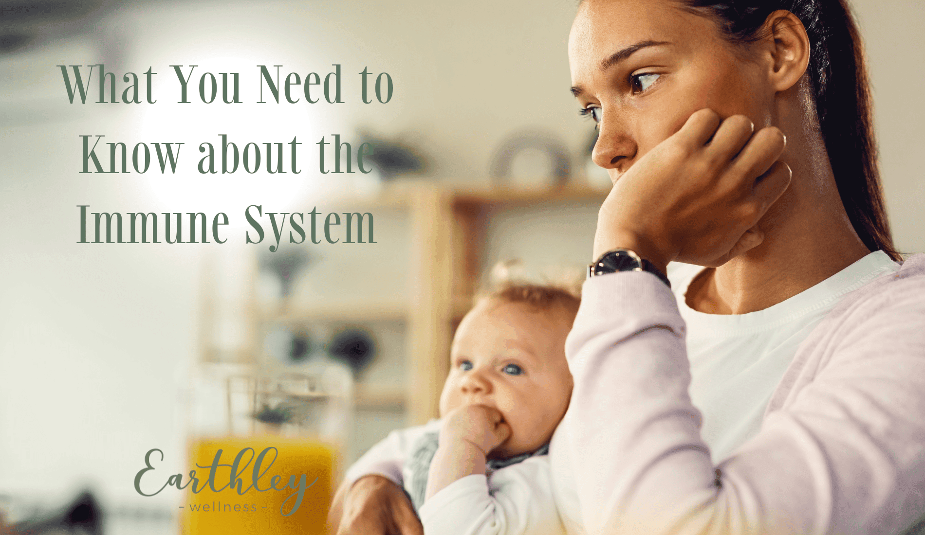 Immune System Support blog header graphic with botanical illustrations for educational wellness content