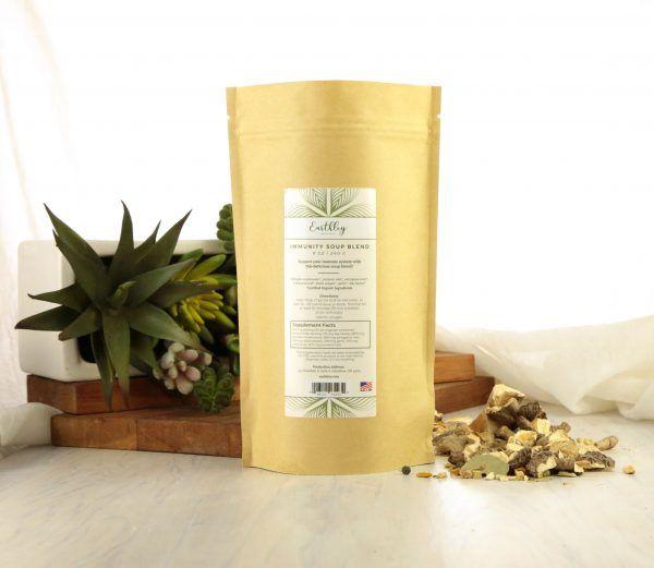immunity.soup_.blend_.831A1025 copy-600x521.jpg