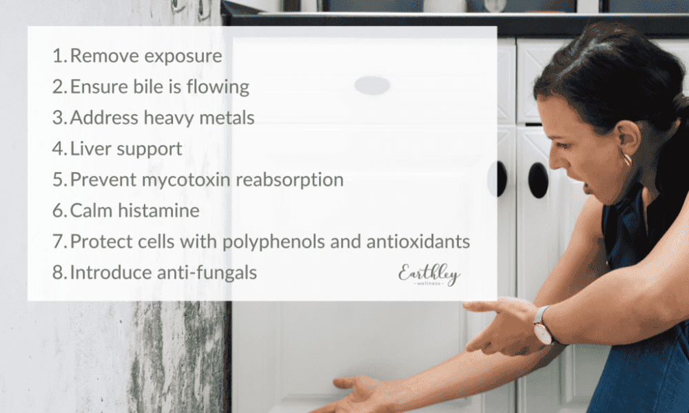 Mold 101 eight steps infographic with white overlay on photo of woman in navy blue top examining black mold on white wall listing Remove exposure Ensure bile is flowing Address heavy metals Liver support Prevent mycotoxin reabsorption Calm histamine Protect cells with polyphenols and Introduce anti-fungals