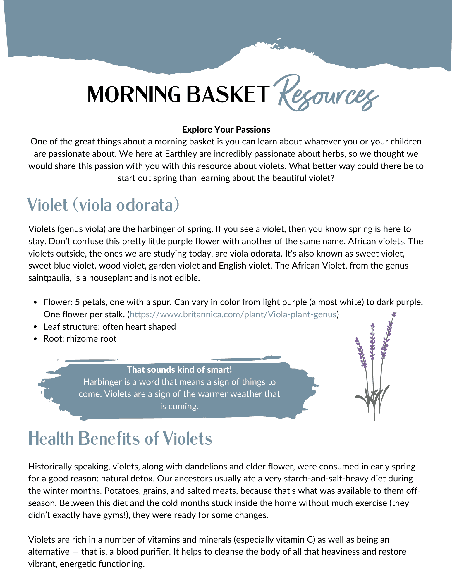 morning baskets-made-simple-activity-guide-pdf-digital-download-734023