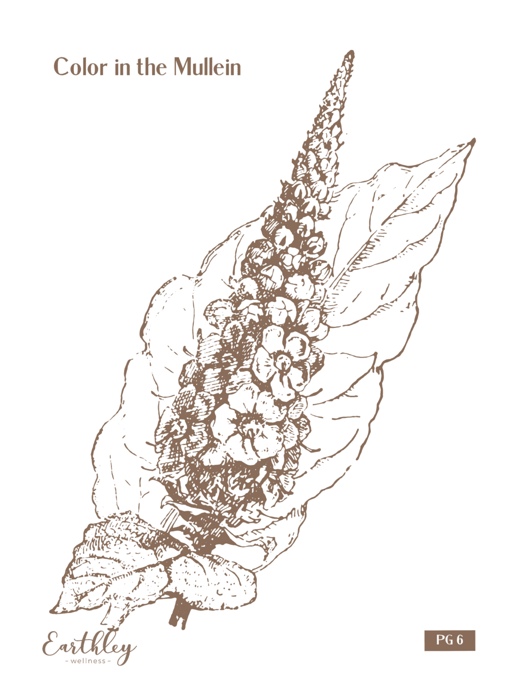 mullein mini-family-activity-guide-pdf-669707