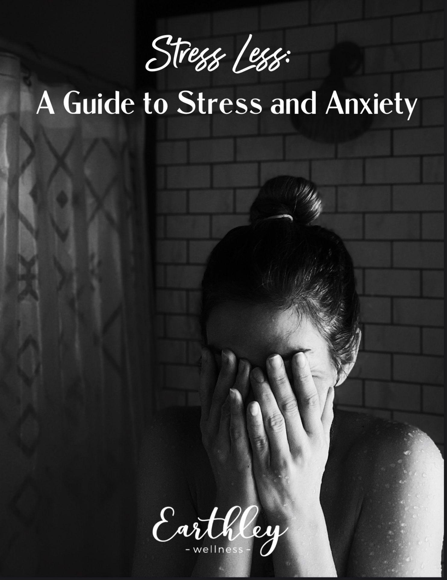 stress less-guide-pdf-digital-download-799020