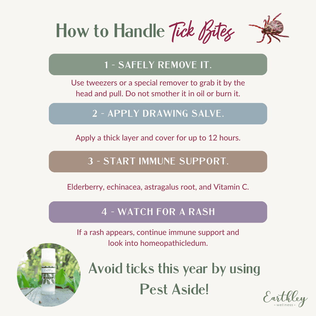 tick removal-protocol-bundle-767068
