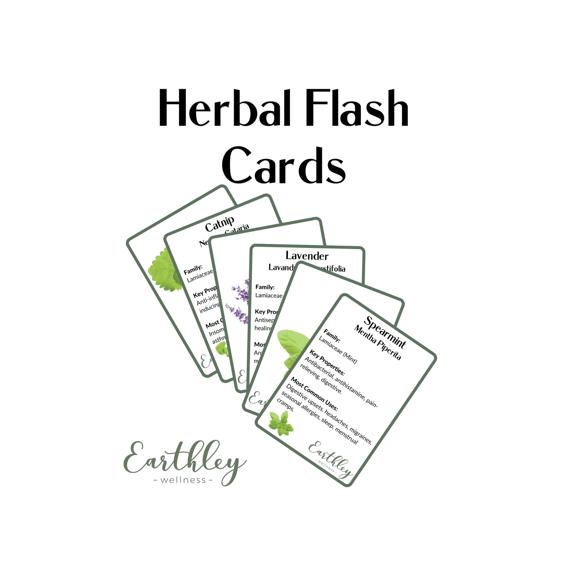 Herbal Flashcards Printable Digital Download herbal-flashcards-printable-digital-download
