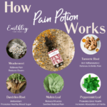 Pain Potion HIW