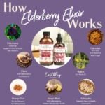 Elderberry Elixir HIW