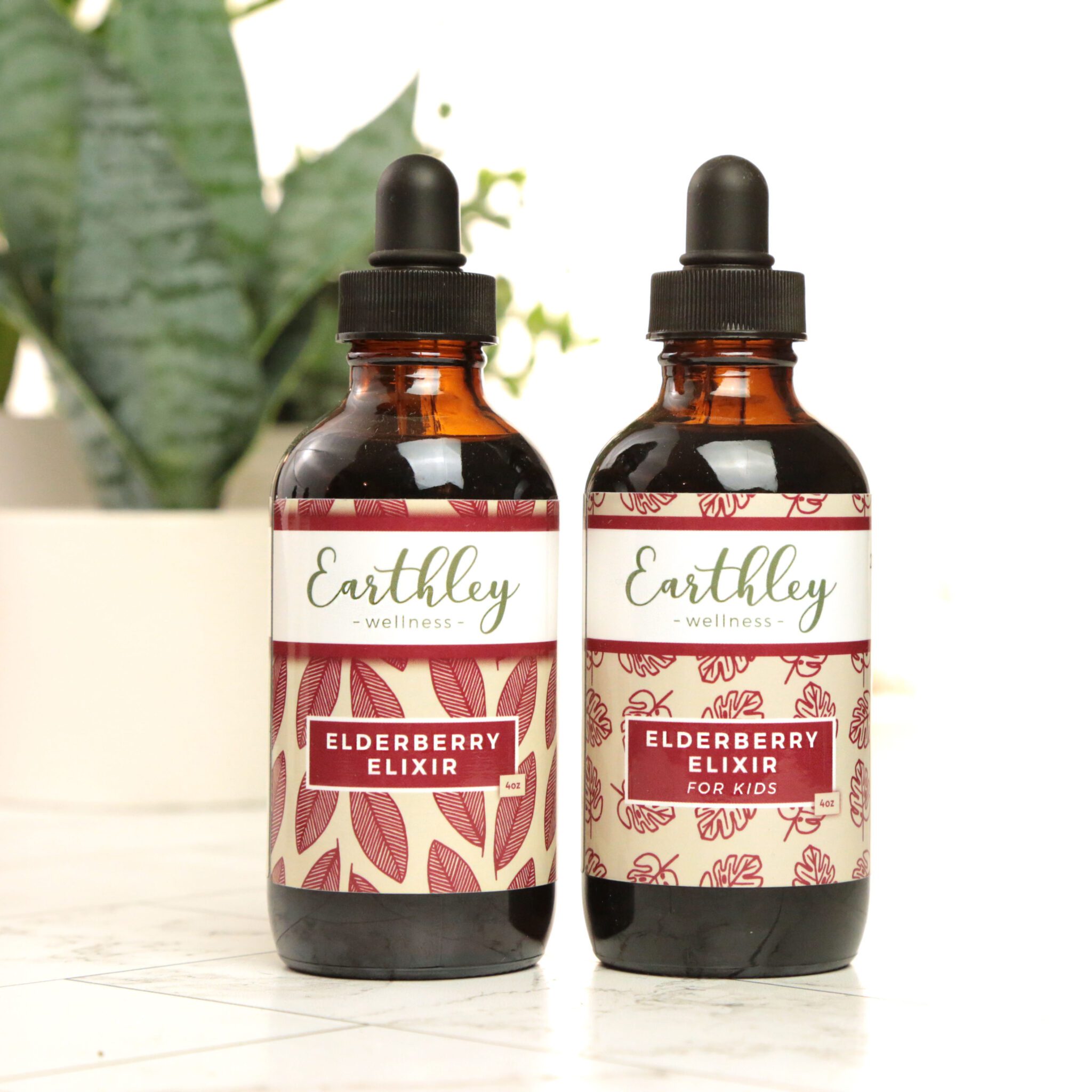 Elderberry Elixir – For Respiratory Symptoms and Immunity | Earthley ...