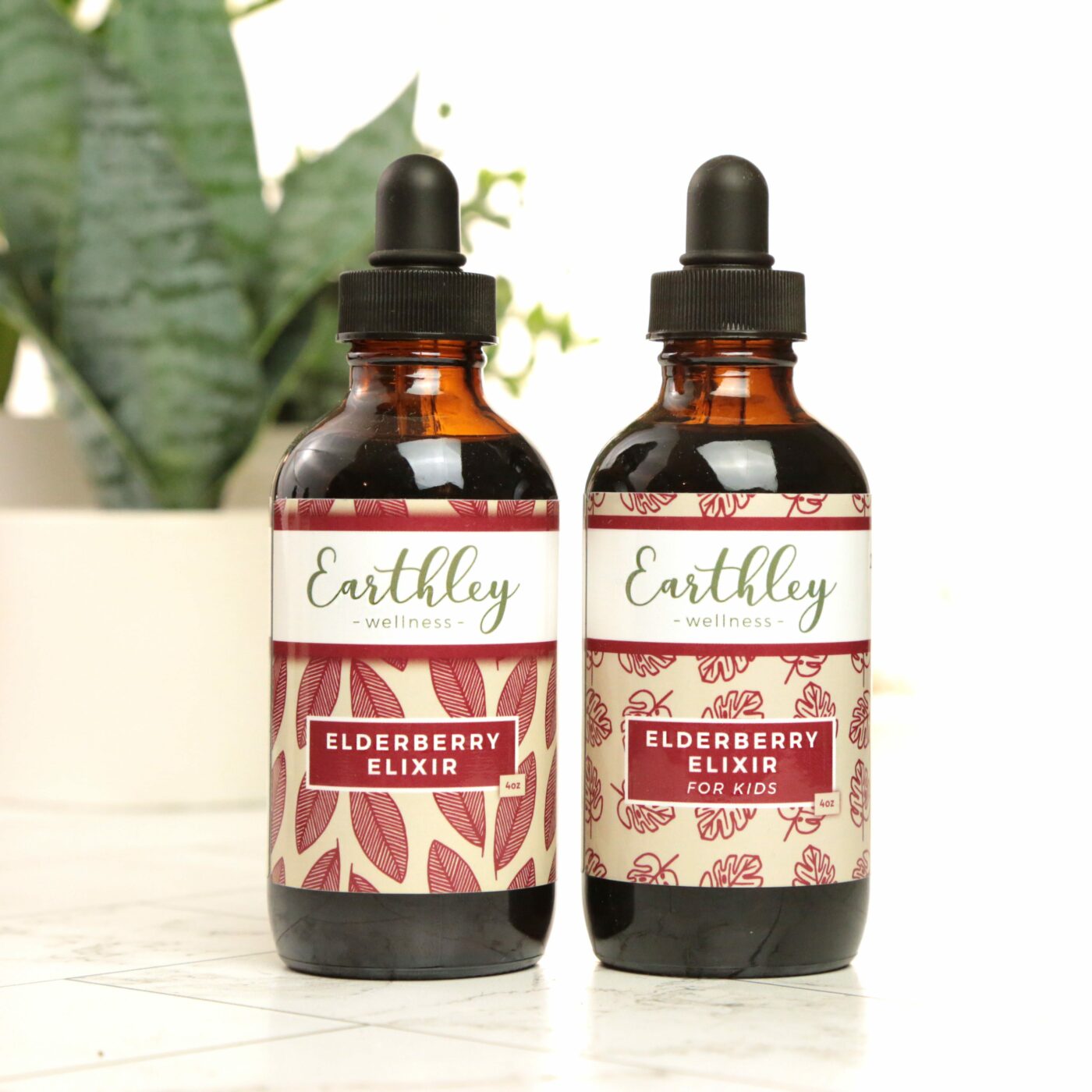 Elderberry Elixir – For Respiratory Symptoms and Immunity