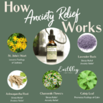 Anxiety Relief HIW