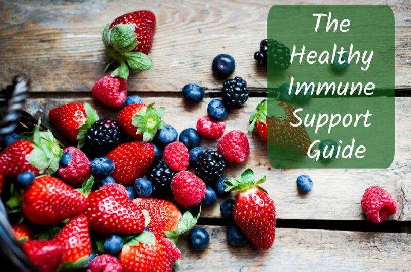 the healthy immune support guide FB