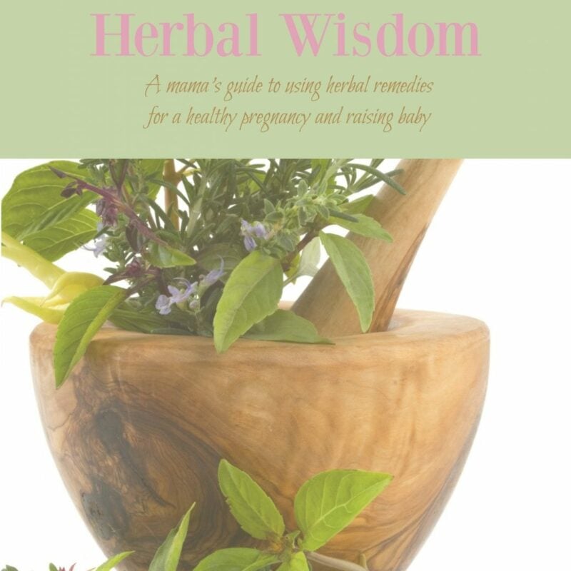 Mama and Baby Herbal Wisdom Cover