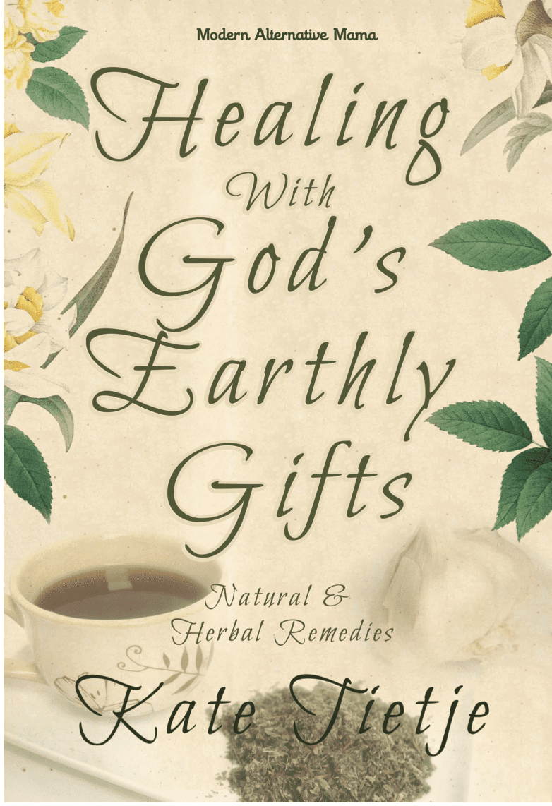Healing With God's Earthly Gifts: Natural and Herbal Remedies eBook