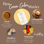 updated cocoa calm HIW graphic copy