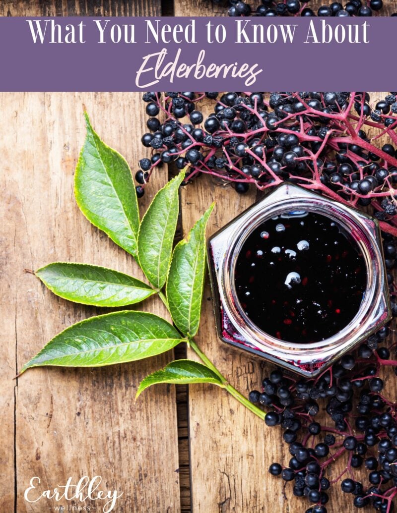 What You Need to Know About Elderberries