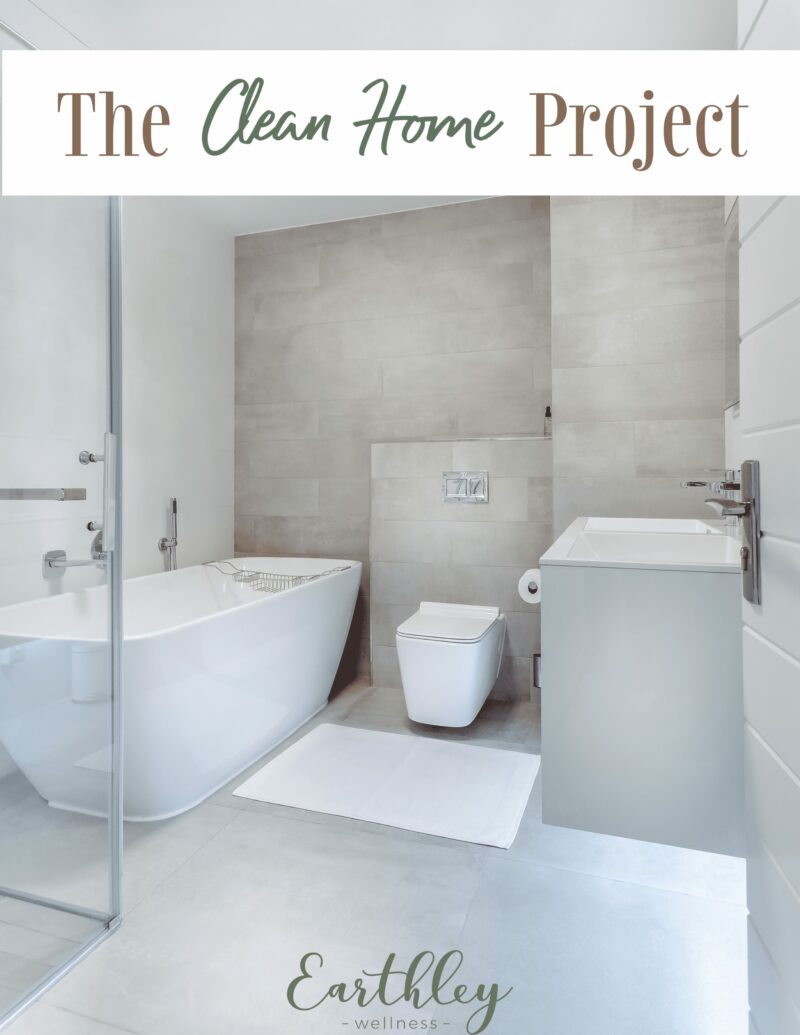 The Clean Home Project