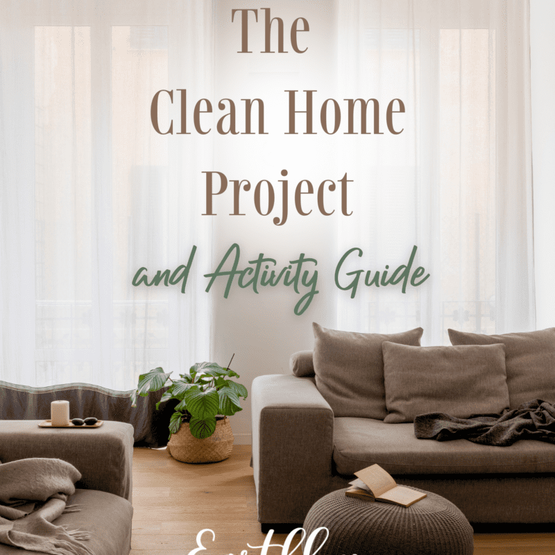 Updated The Clean Home Project and Activity Guide