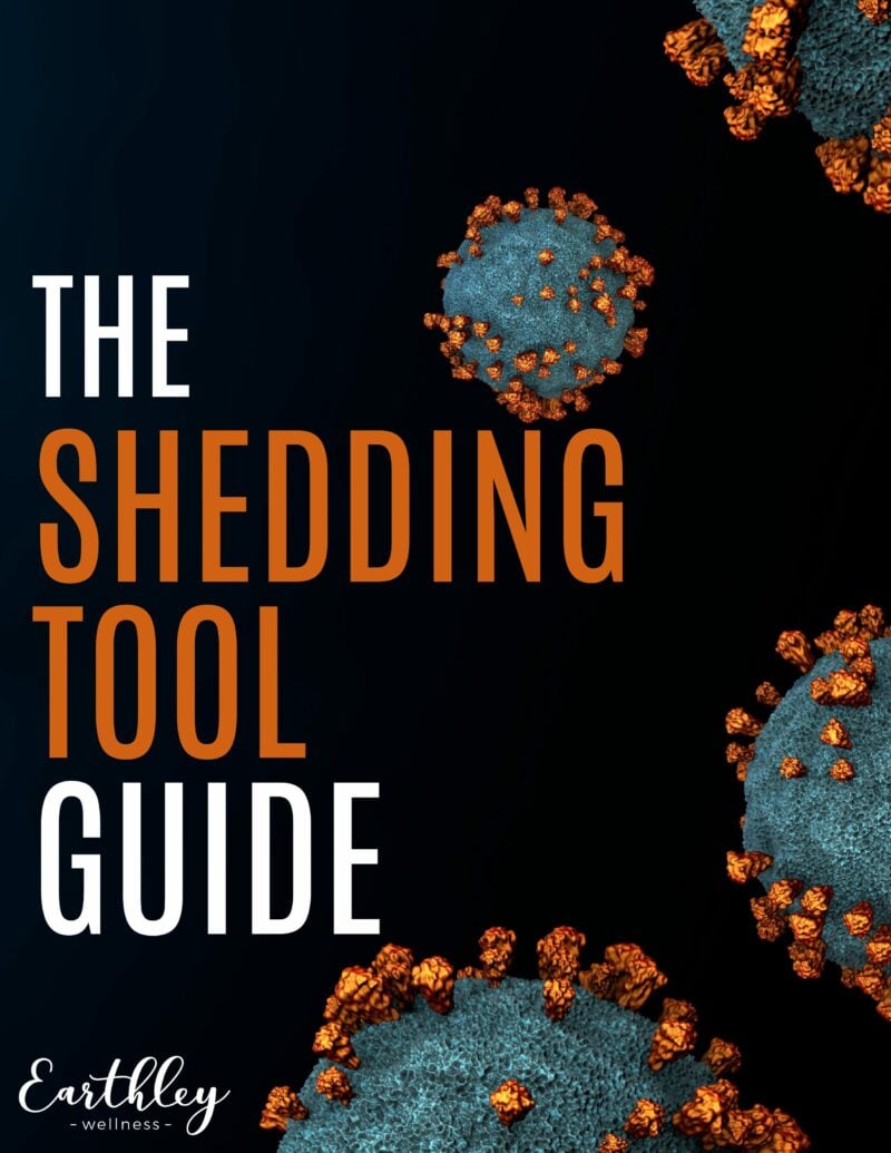 The Shed Tool Guide (1)