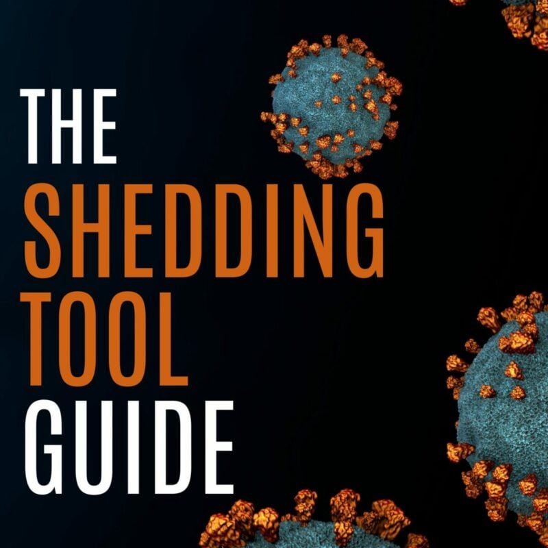 The Shed Tool Guide (1)