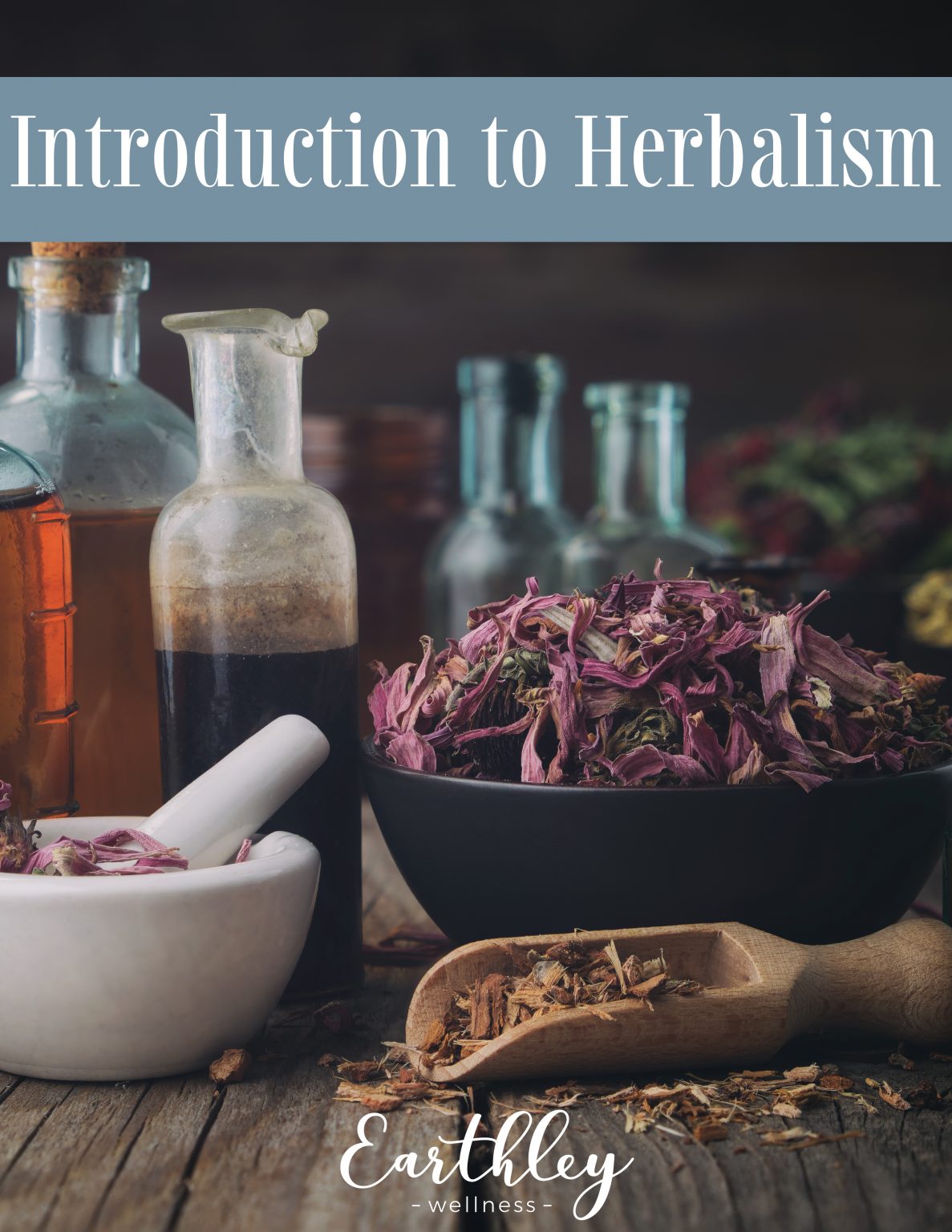 Introduction to Herbalism {Digital Download} | Earthley Wellness