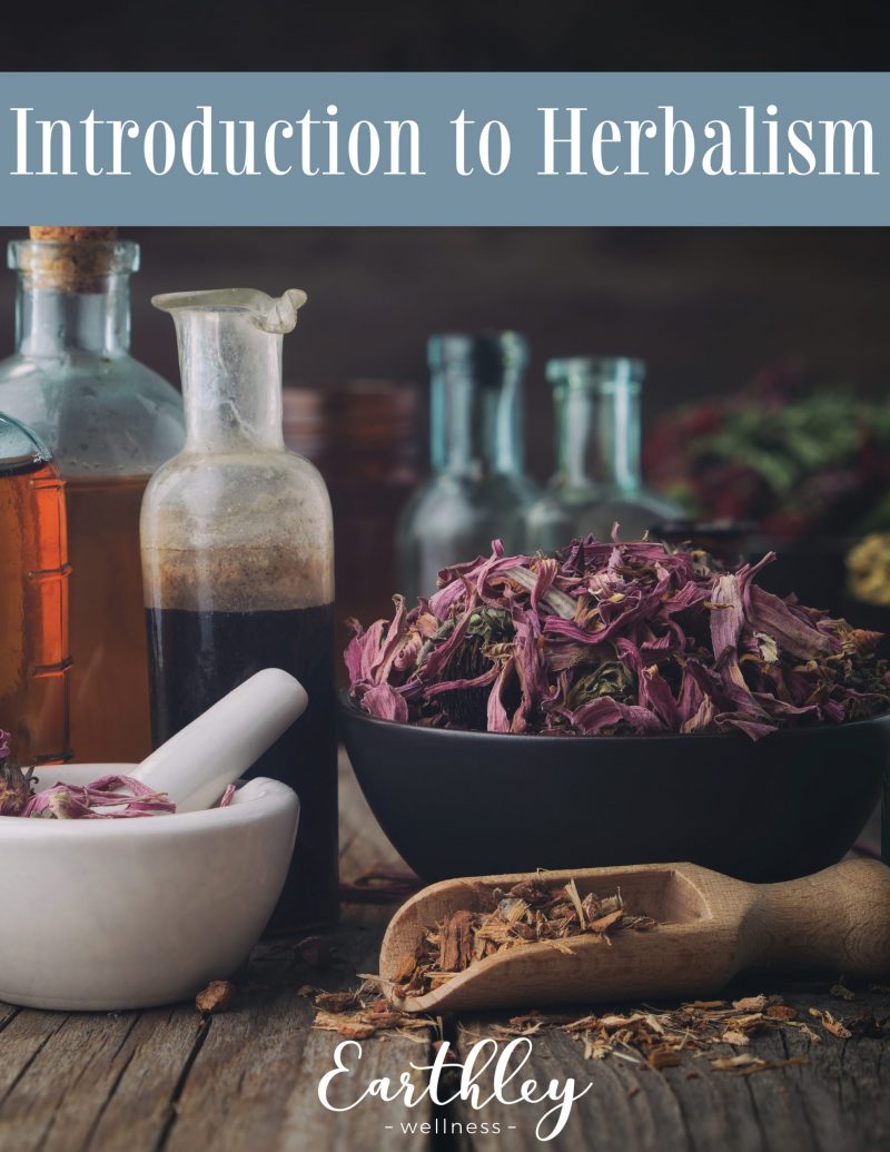 Intro-to-herbalism-COVER-scaled