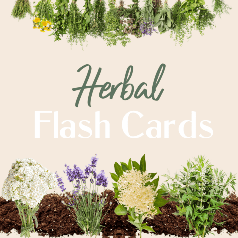 Herbal Flash Cards Cover (1)