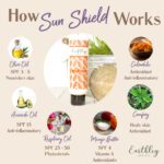sun shield works