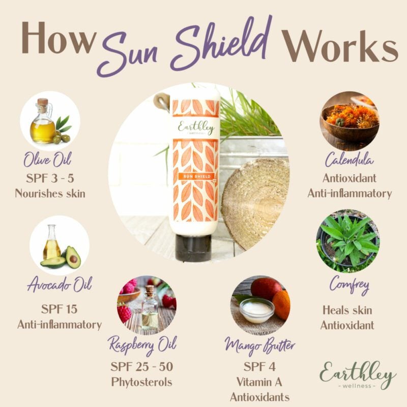 Earthley Wellness Sun Soothe All Natural Sunburn Relief Comforts Sunburned  Sore or Dry Skin Fast Extra Hydrating Formula Speed Healing Calm Irritated  Skin Safe for Entire Family (8oz)