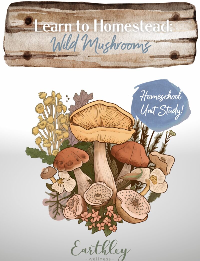 Learn to Homestead: Wild Mushrooms
