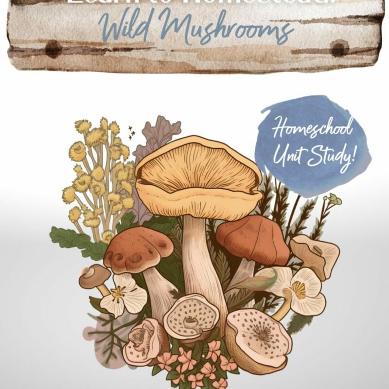 Learn to Homestead: Wild Mushrooms