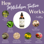 Metabolism Tincture HIW