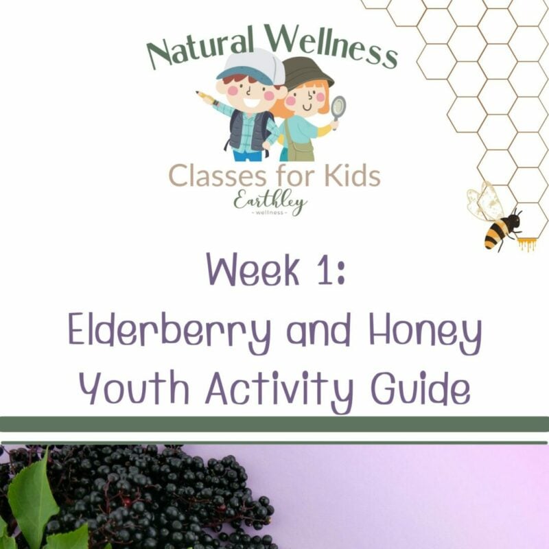 elderberry honey youth guide