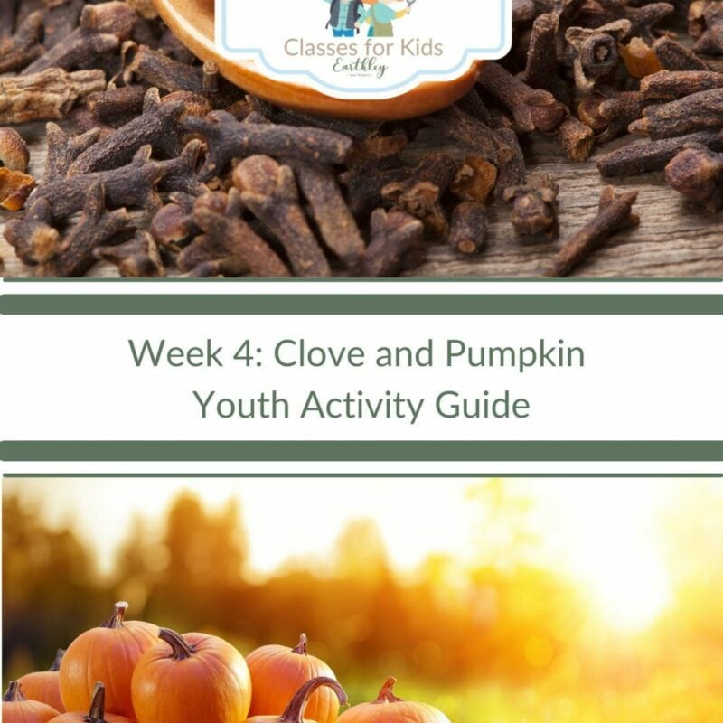 Clove and pumpkin youth
