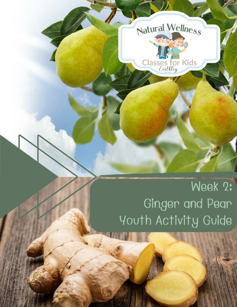 Ginger and pear youth activity guide