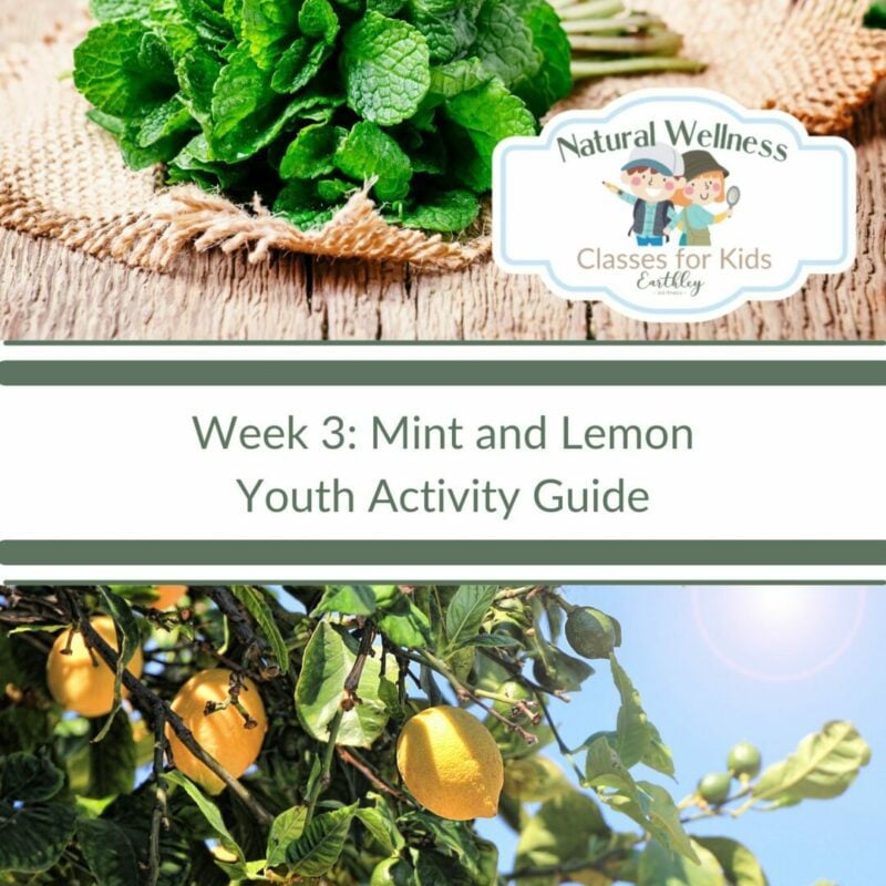 mint and lemon youth
