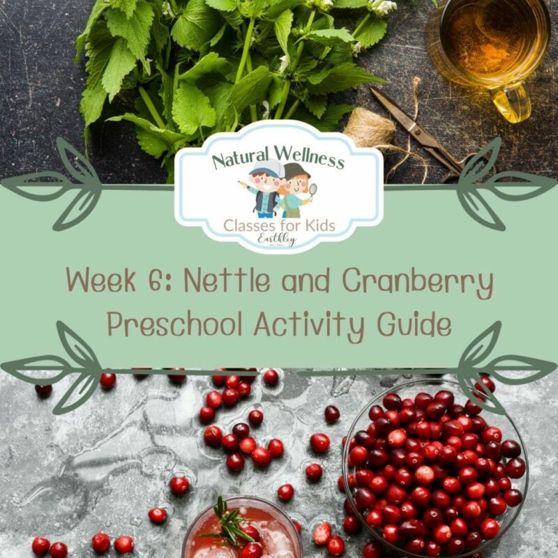 nettle cranberry preschool guide Cover-7
