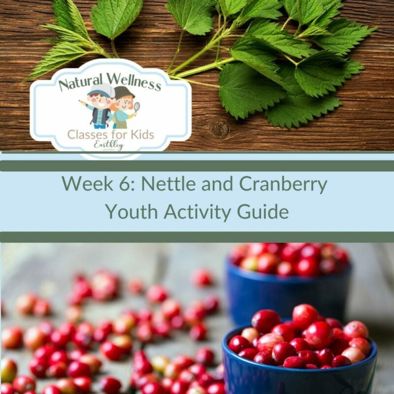 nettle and cranberry youth Cover-8