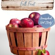 Learn to Homestead Fall Fruits
